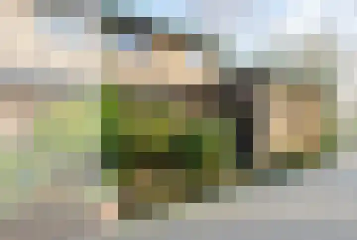 Bosplaat 71 Amsterdam thumbnail 4