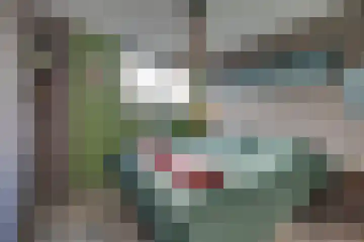 Bosplaat 71 Amsterdam thumbnail 40