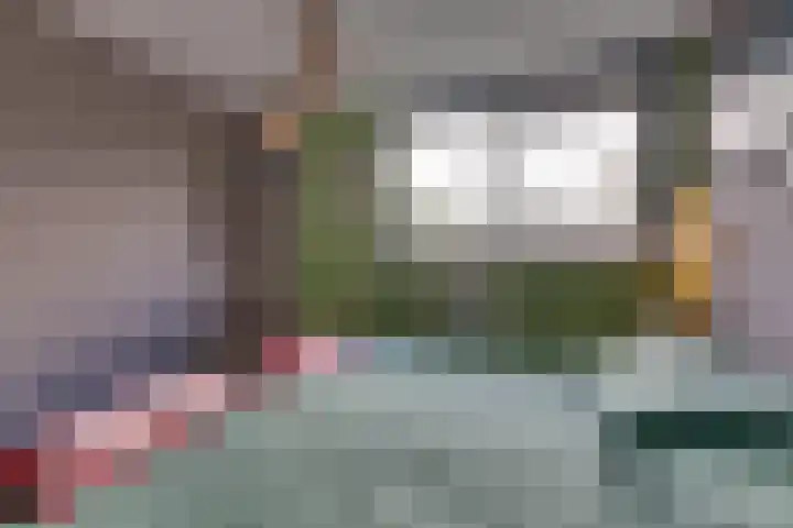 Bosplaat 71 Amsterdam thumbnail 41