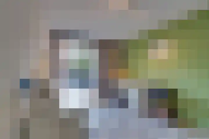 Bosplaat 71 Amsterdam thumbnail 44
