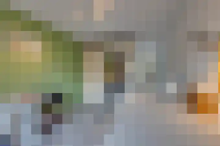 Bosplaat 71 Amsterdam thumbnail 46