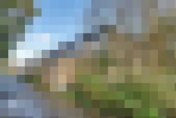 Bosplaat 71 Amsterdam thumbnail 5