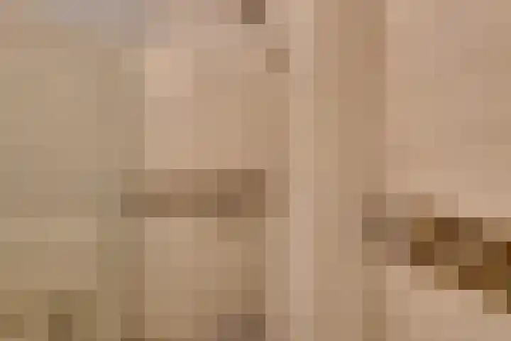 Bosplaat 71 Amsterdam thumbnail 57