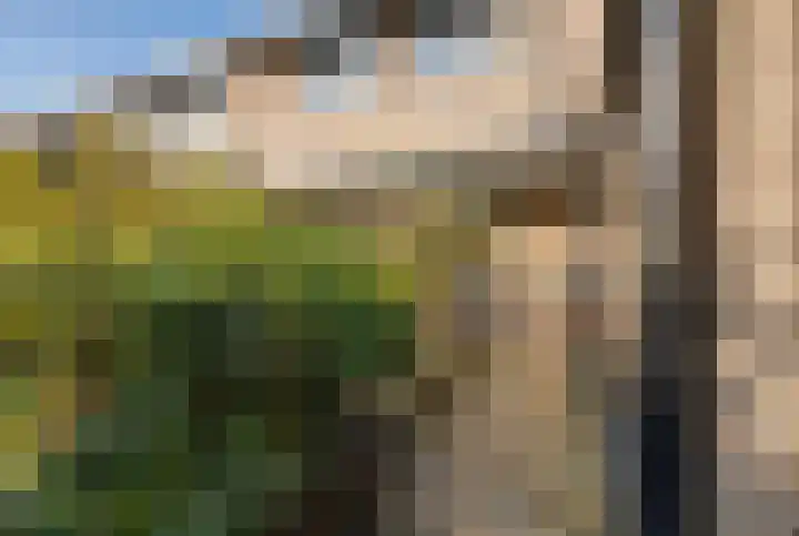 Bosplaat 71 Amsterdam thumbnail 6