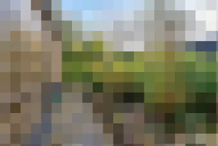 Bosplaat 71 Amsterdam thumbnail 7