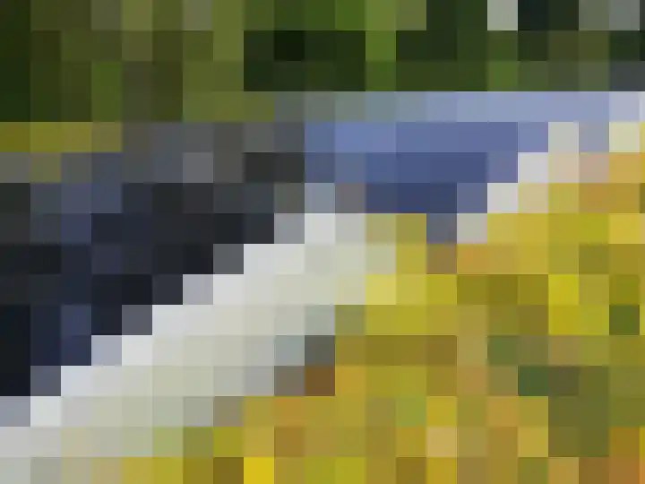 Bosplaat 71 Amsterdam thumbnail 8