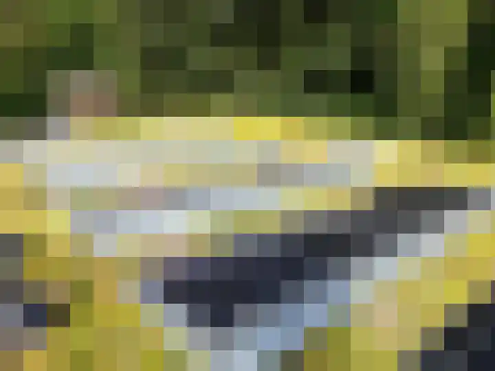 Bosplaat 71 Amsterdam thumbnail 9