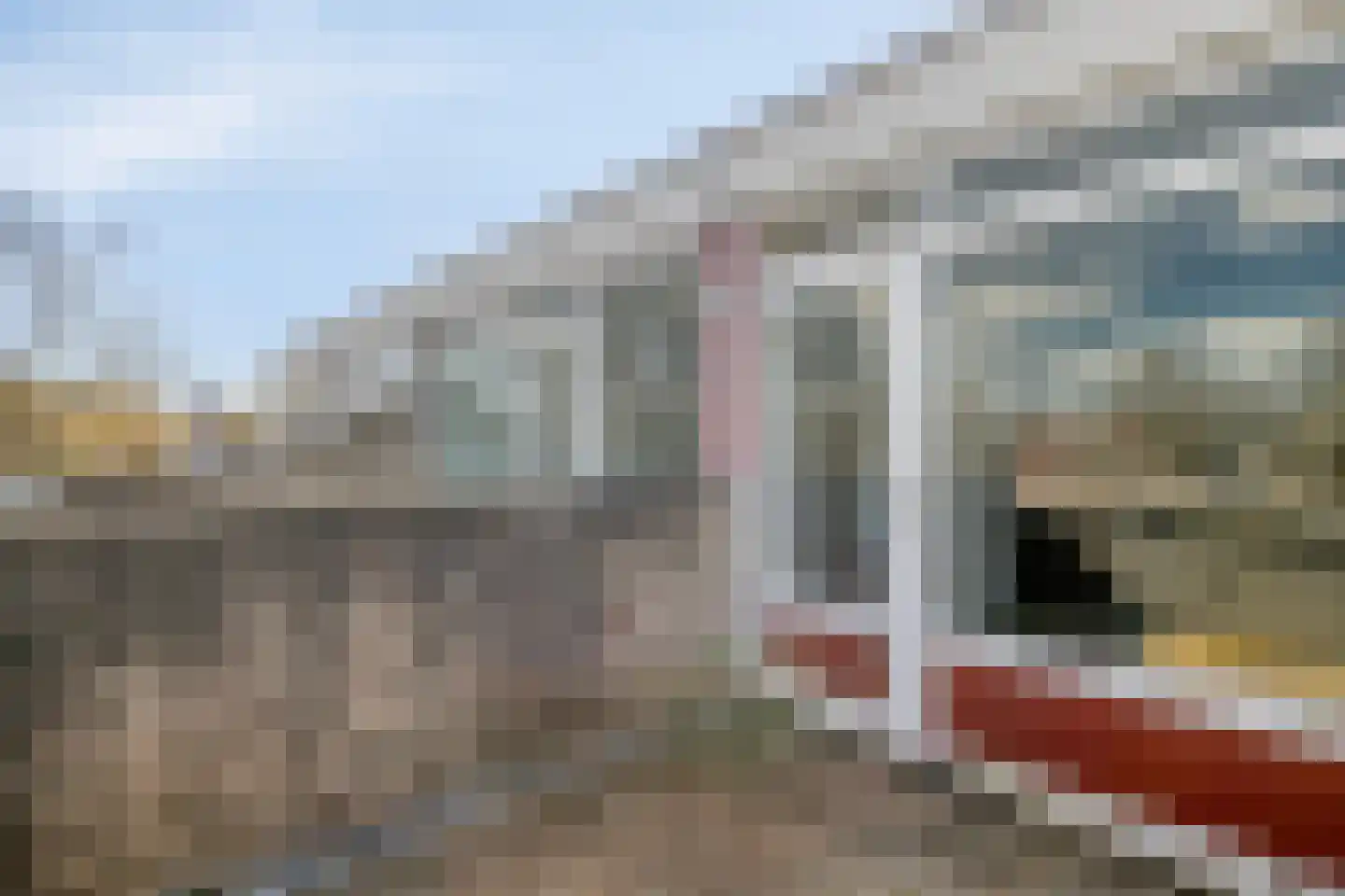 Bosplaat 87 Zwolle thumbnail 26