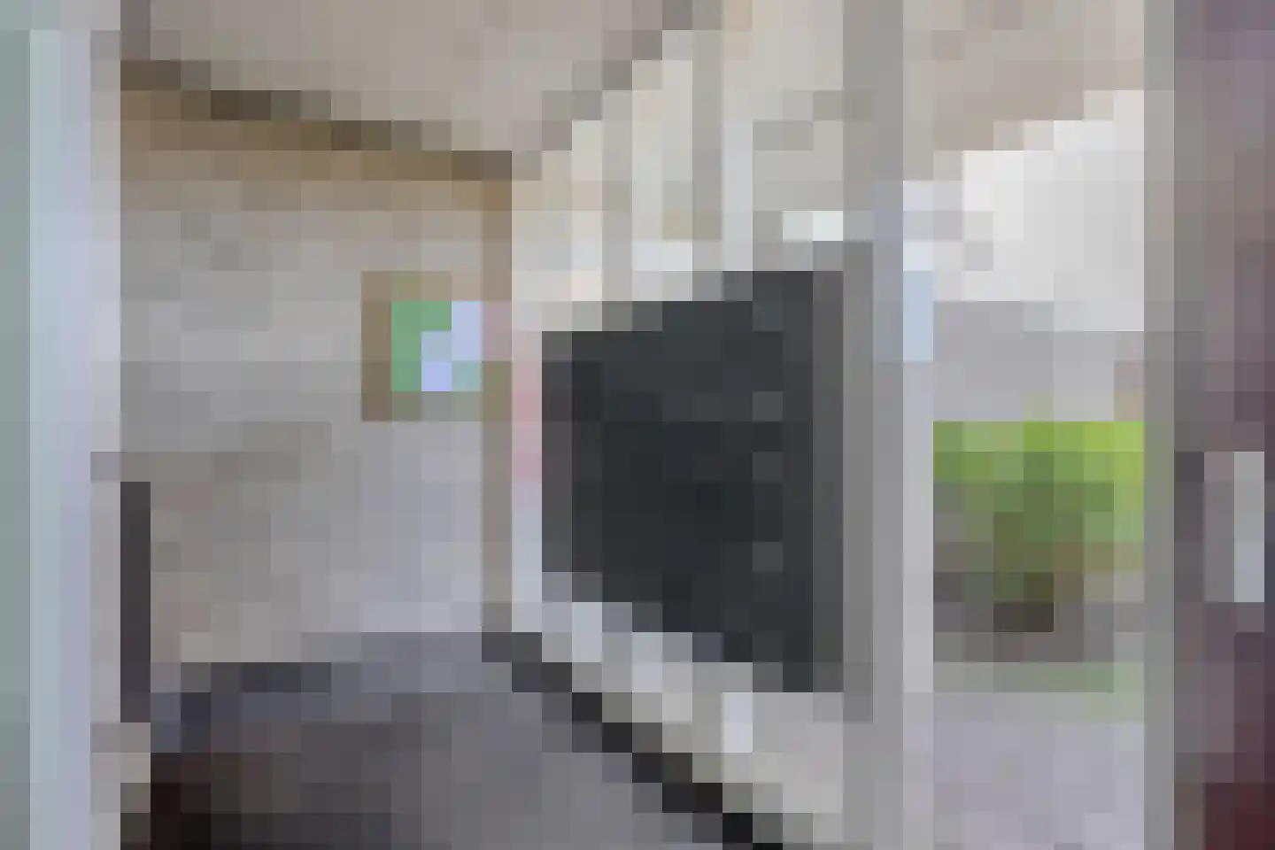 Bosplaat 87 Zwolle thumbnail 34