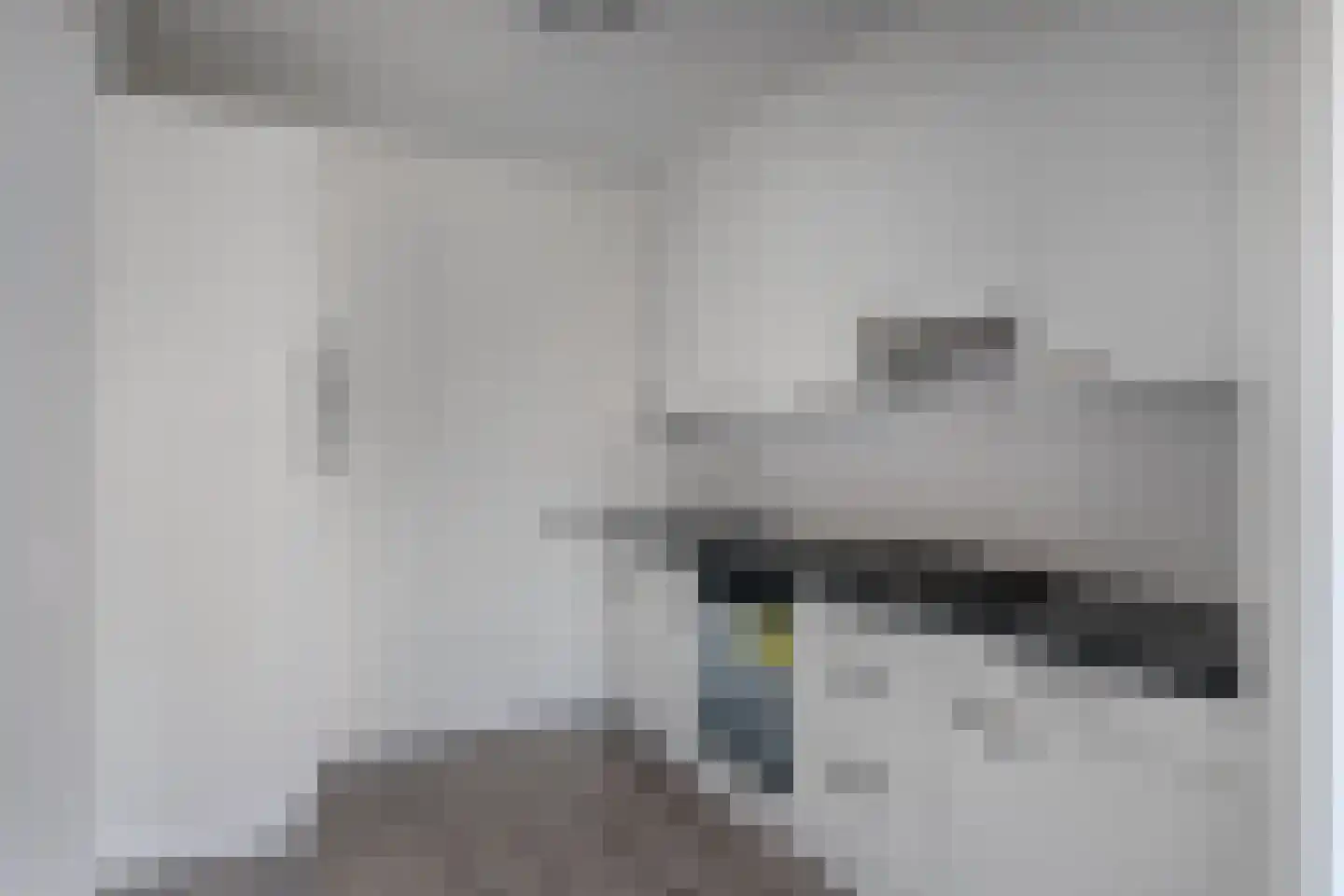 Bosplaat 87 Zwolle thumbnail 9