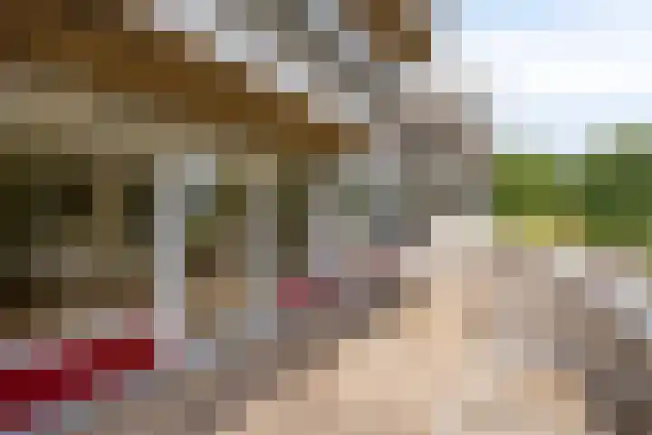 Bosplaat 96 Zwolle thumbnail 12
