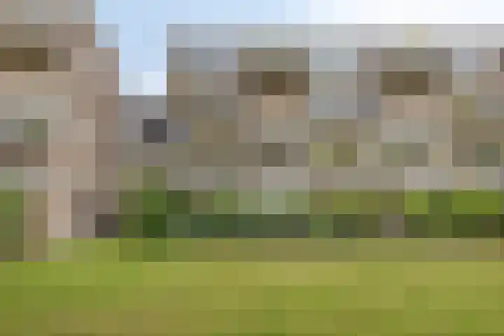 Bosplaat 96 Zwolle foto 2