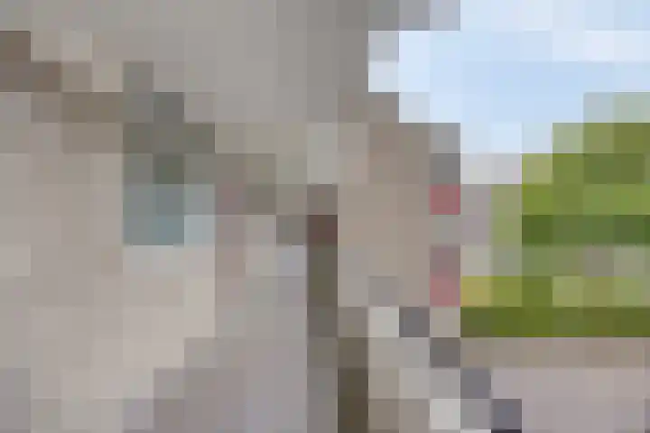 Bosplaat 96 Zwolle thumbnail 27