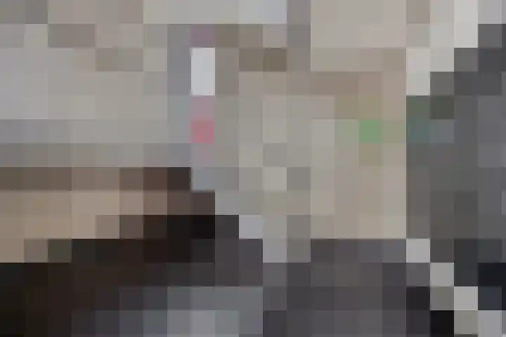 Bosplaat 96 Zwolle thumbnail 30