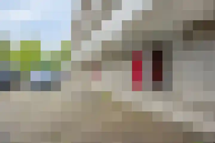 Bosplaat 96 Zwolle thumbnail 33