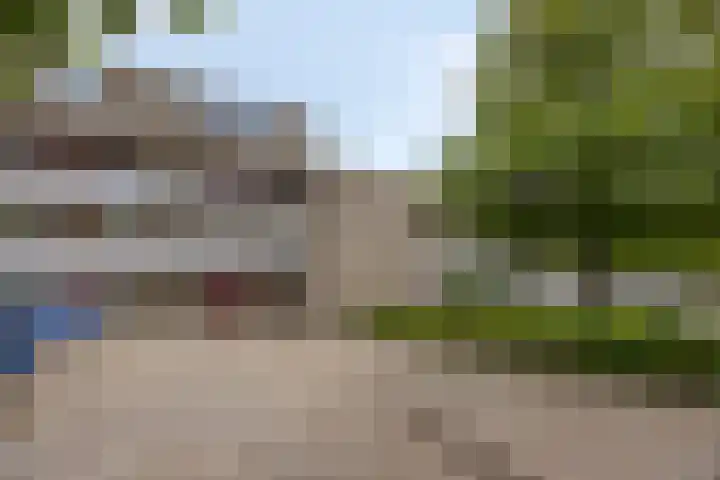 Bosplaat 96 Zwolle thumbnail 38