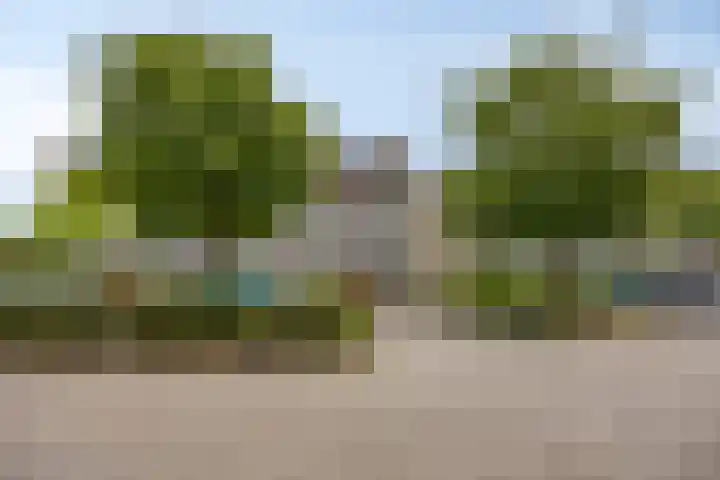Bosplaat 96 Zwolle thumbnail 41