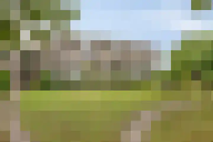 Bosplaat 96 Zwolle thumbnail 45