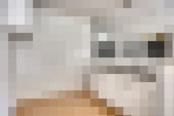 Bosplaat 96 Zwolle thumbnail 5