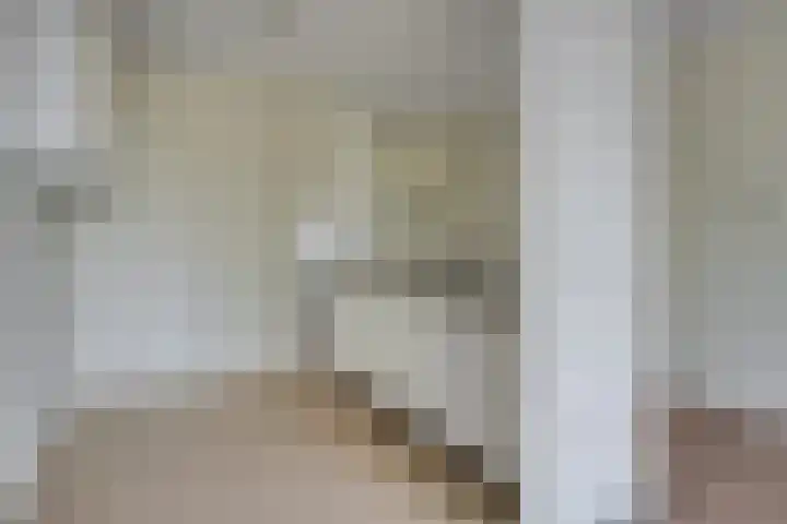 Bosplaat 97 Zwolle thumbnail 10