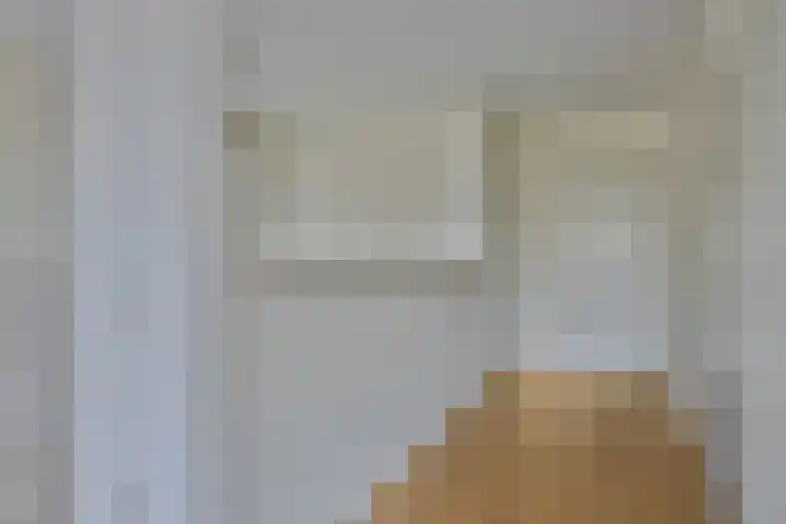 Bosplaat 97 Zwolle thumbnail 13