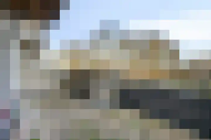 Bosplaat 97 Zwolle thumbnail 23