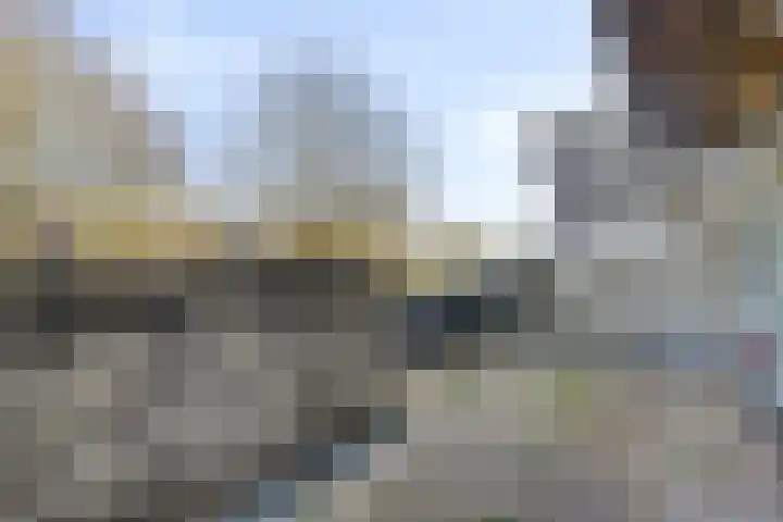 Bosplaat 97 Zwolle thumbnail 24