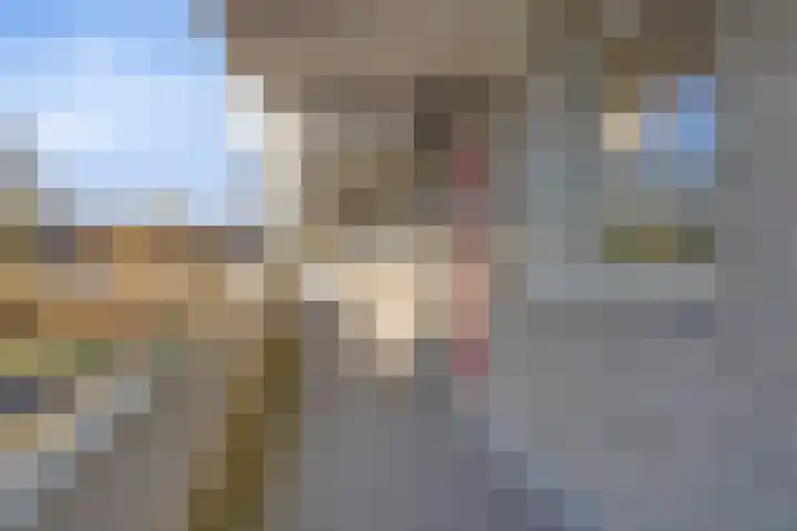 Bosplaat 97 Zwolle thumbnail 25