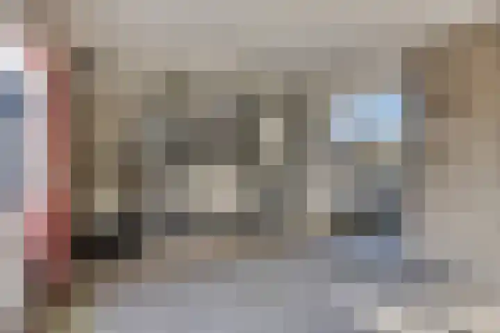 Bosplaat 97 Zwolle thumbnail 27