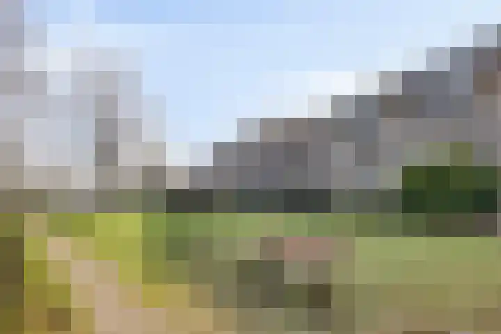 Bosplaat 97 Zwolle thumbnail 28