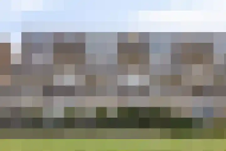 Bosplaat 97 Zwolle thumbnail 29