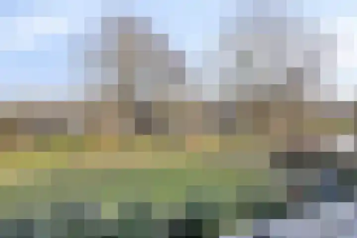 Bosplaat 97 Zwolle thumbnail 30