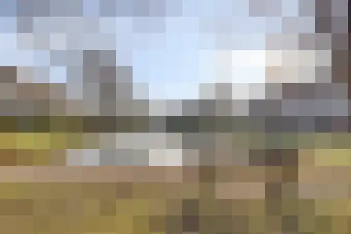 Bosplaat 97 Zwolle thumbnail 31