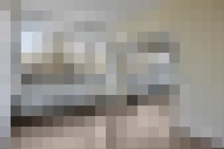 Bosplaat 97 Zwolle thumbnail 6
