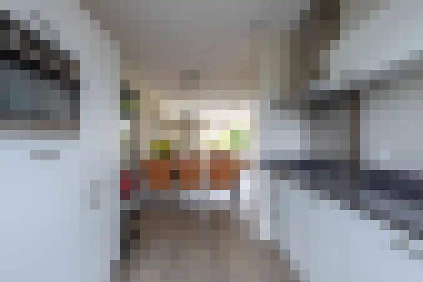 Bosplaatstraat 28 Berkel en Rodenrijs thumbnail 15