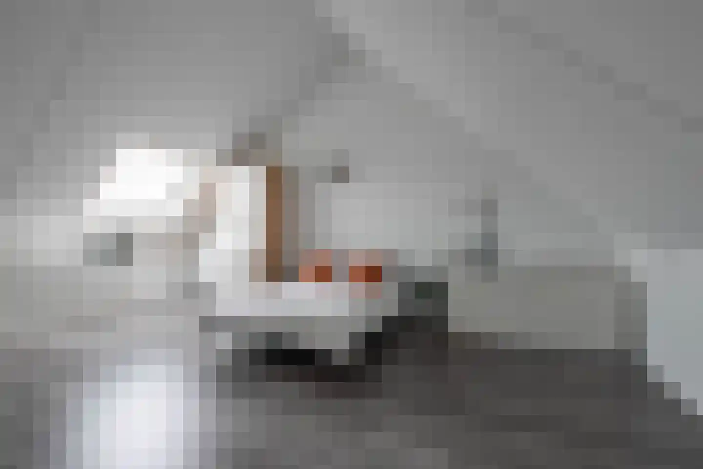 Bosplaatstraat 28 Berkel en Rodenrijs thumbnail 30