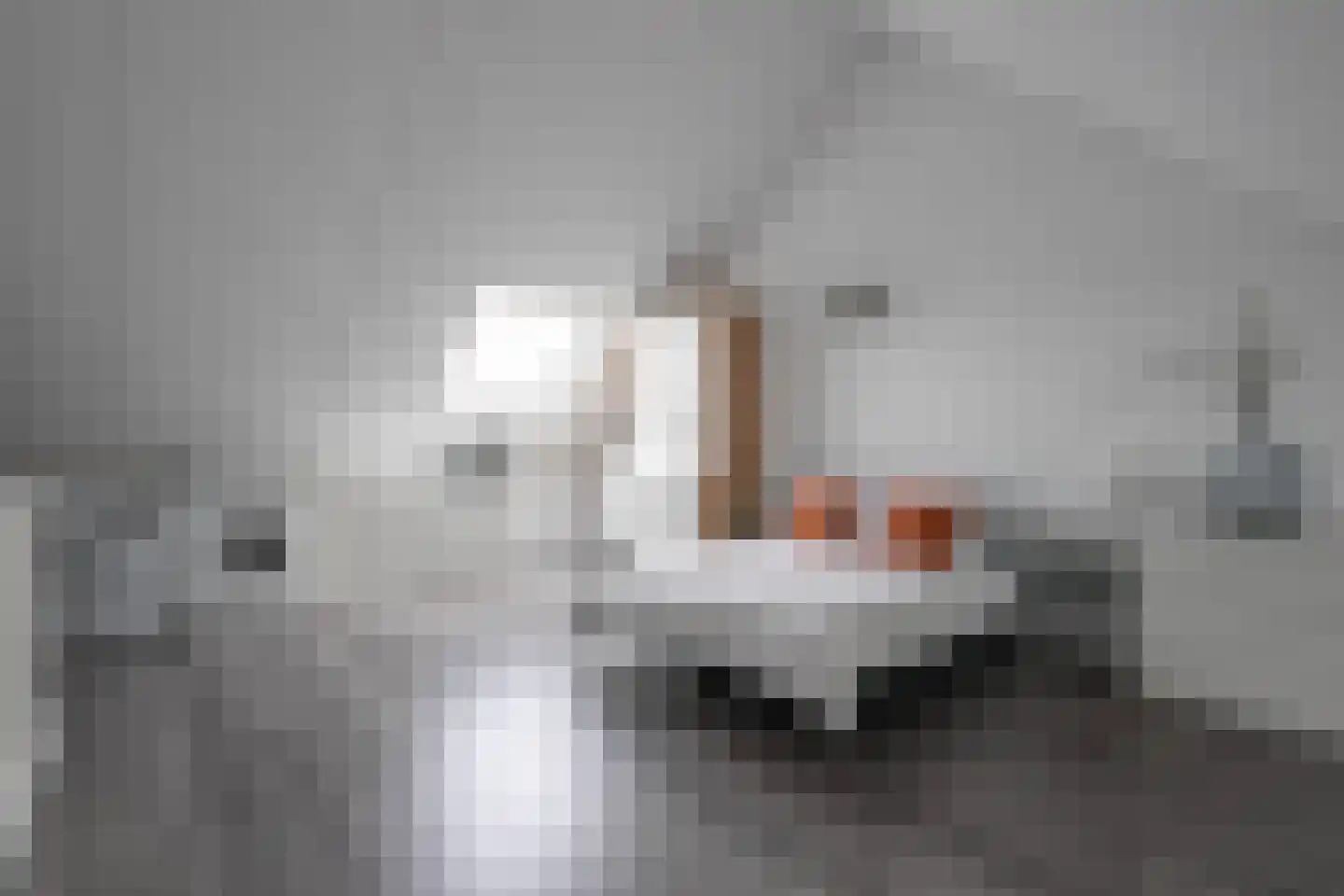 Bosplaatstraat 28 Berkel en Rodenrijs thumbnail 32