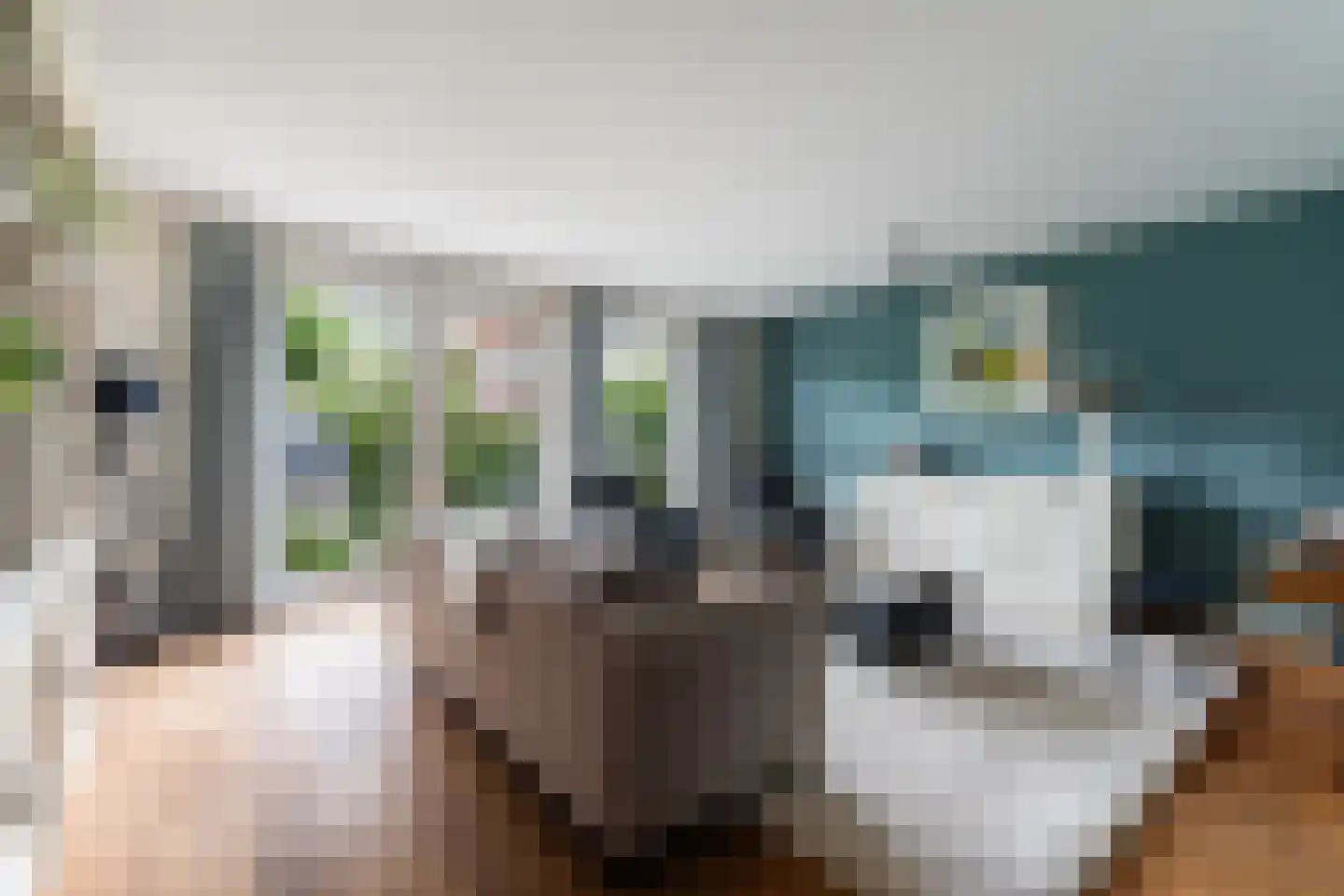 Bosplaatstraat 6 Berkel en Rodenrijs thumbnail 24
