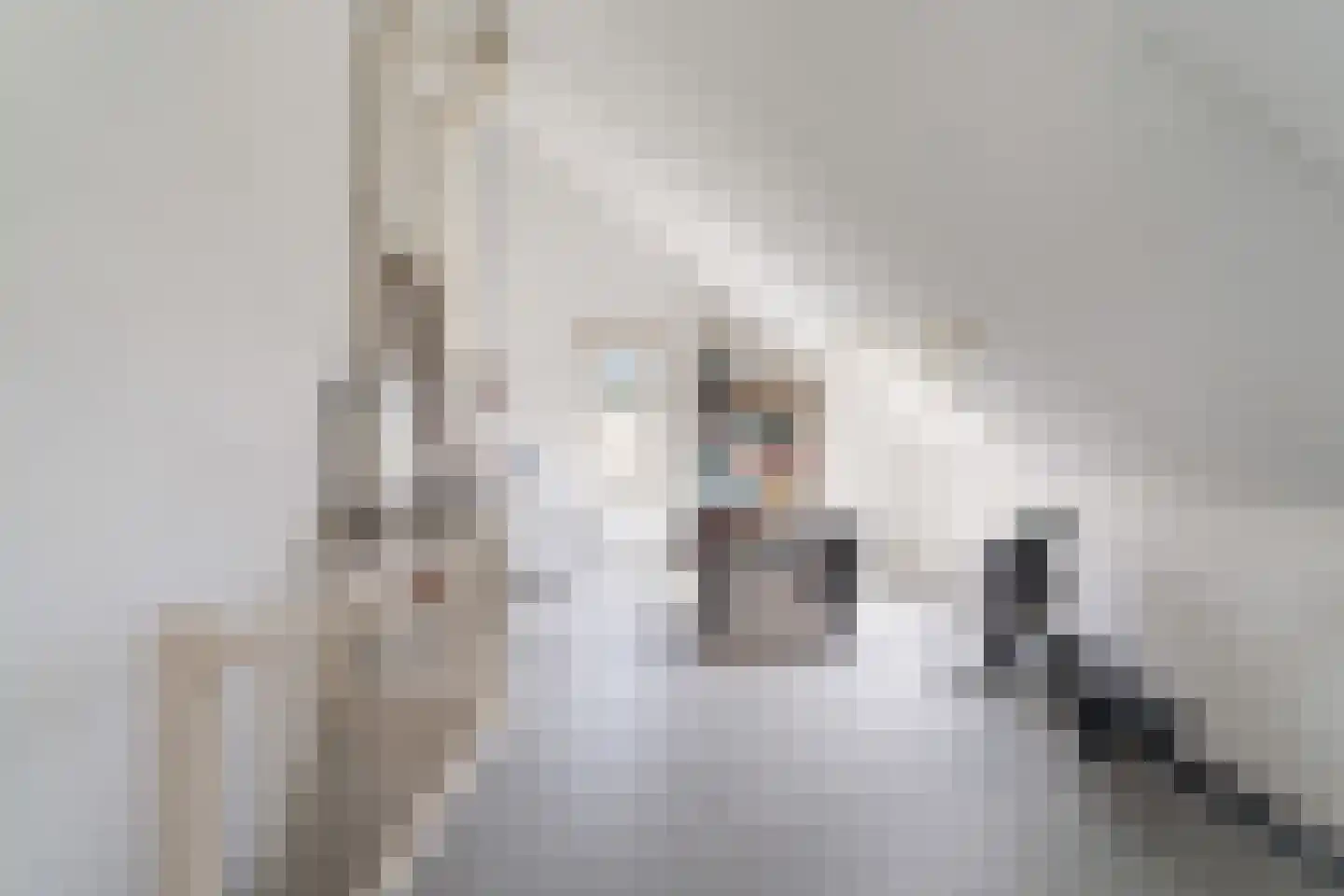 Bosplaatstraat 6 Berkel en Rodenrijs thumbnail 38