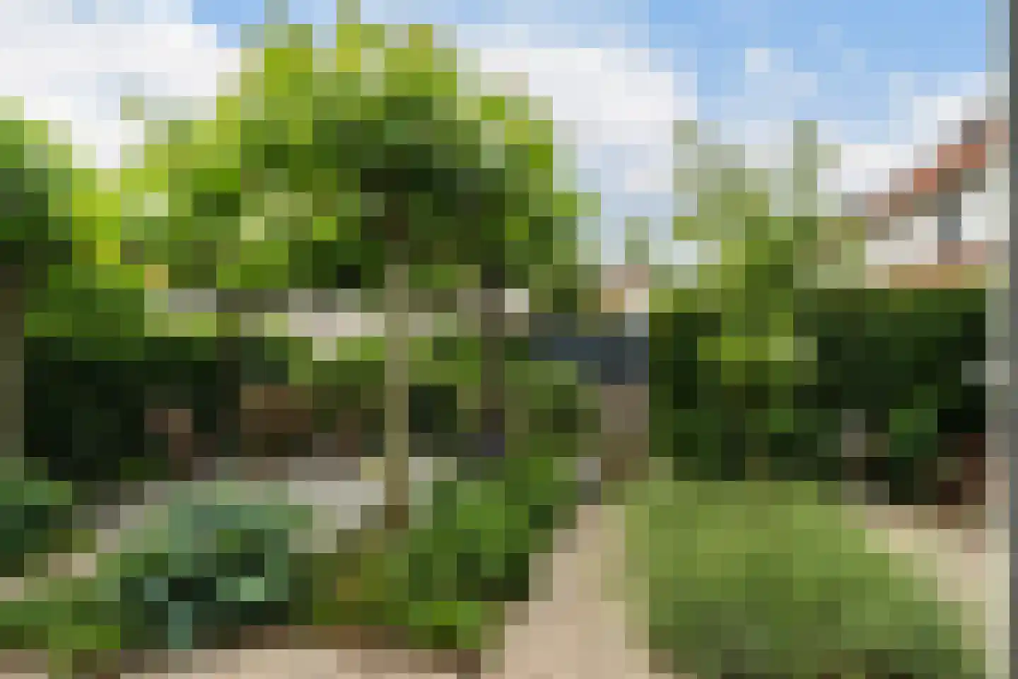 Bosplaatstraat 6 Berkel en Rodenrijs thumbnail 45
