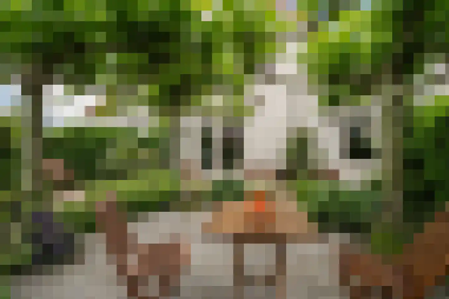 Bosplaatstraat 6 Berkel en Rodenrijs thumbnail 47