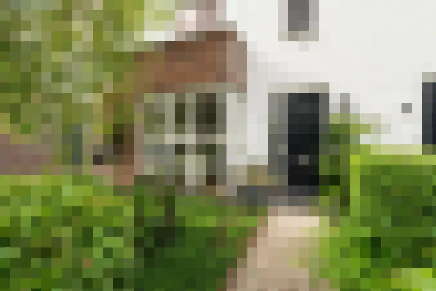 Bosplaatstraat 6 Berkel en Rodenrijs thumbnail 7