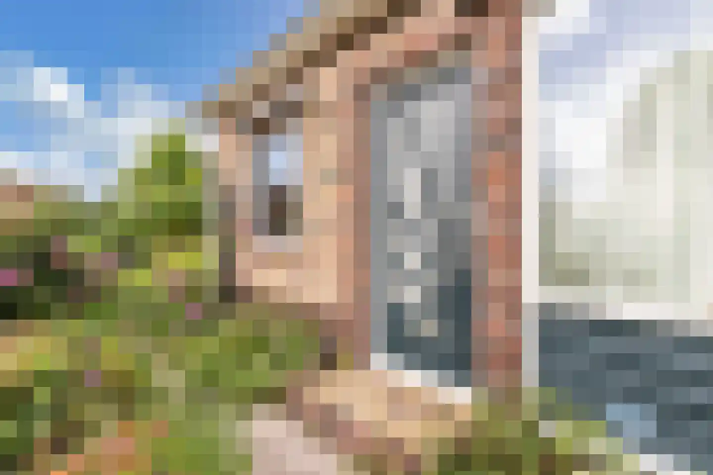 Bosplantsoen 40 Zevenhuizen thumbnail 10