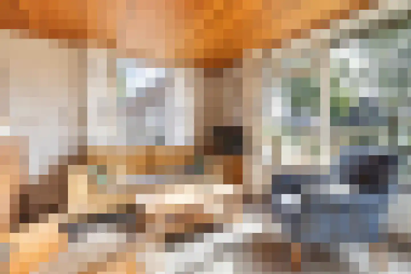 Bosplantsoen 40 Zevenhuizen thumbnail 12