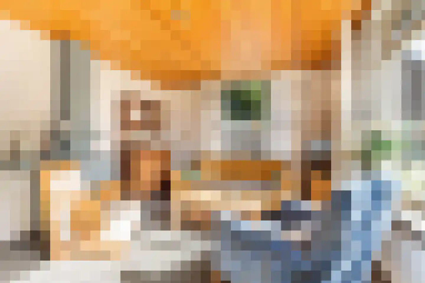 Bosplantsoen 40 Zevenhuizen thumbnail 13
