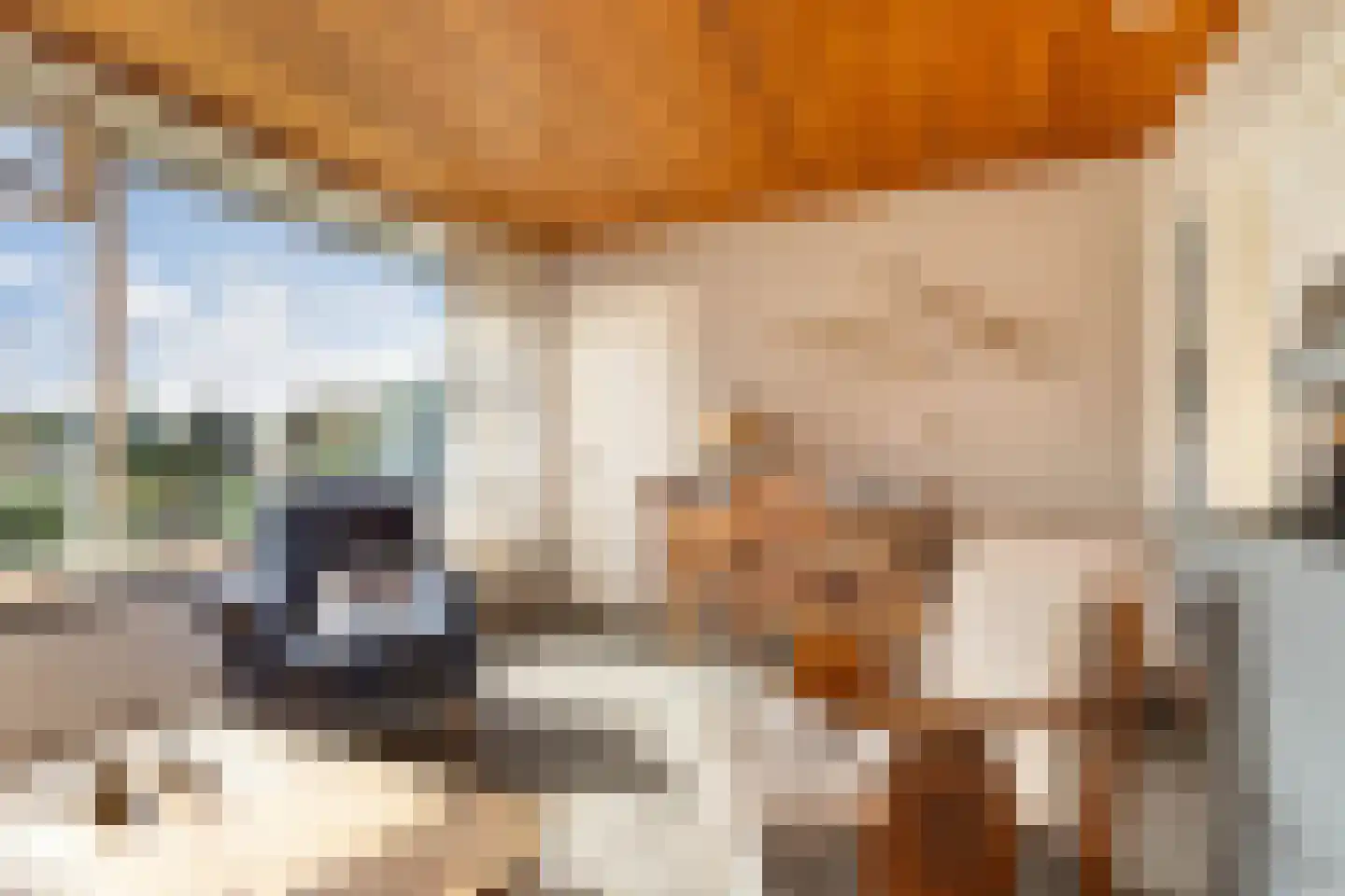 Bosplantsoen 40 Zevenhuizen thumbnail 14