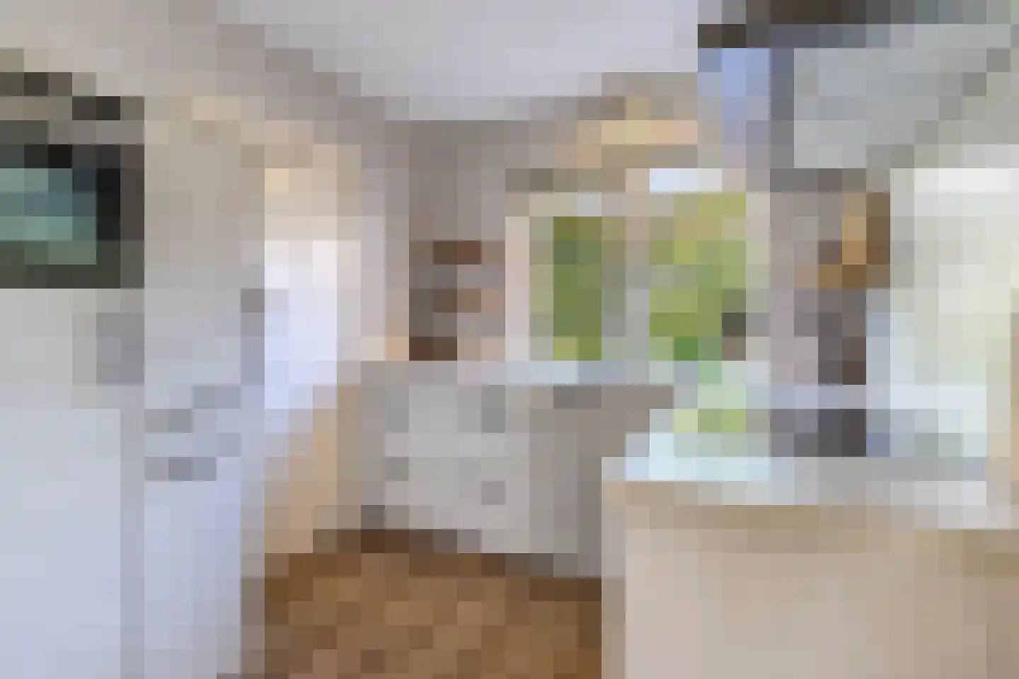 Bosplantsoen 40 Zevenhuizen thumbnail 16