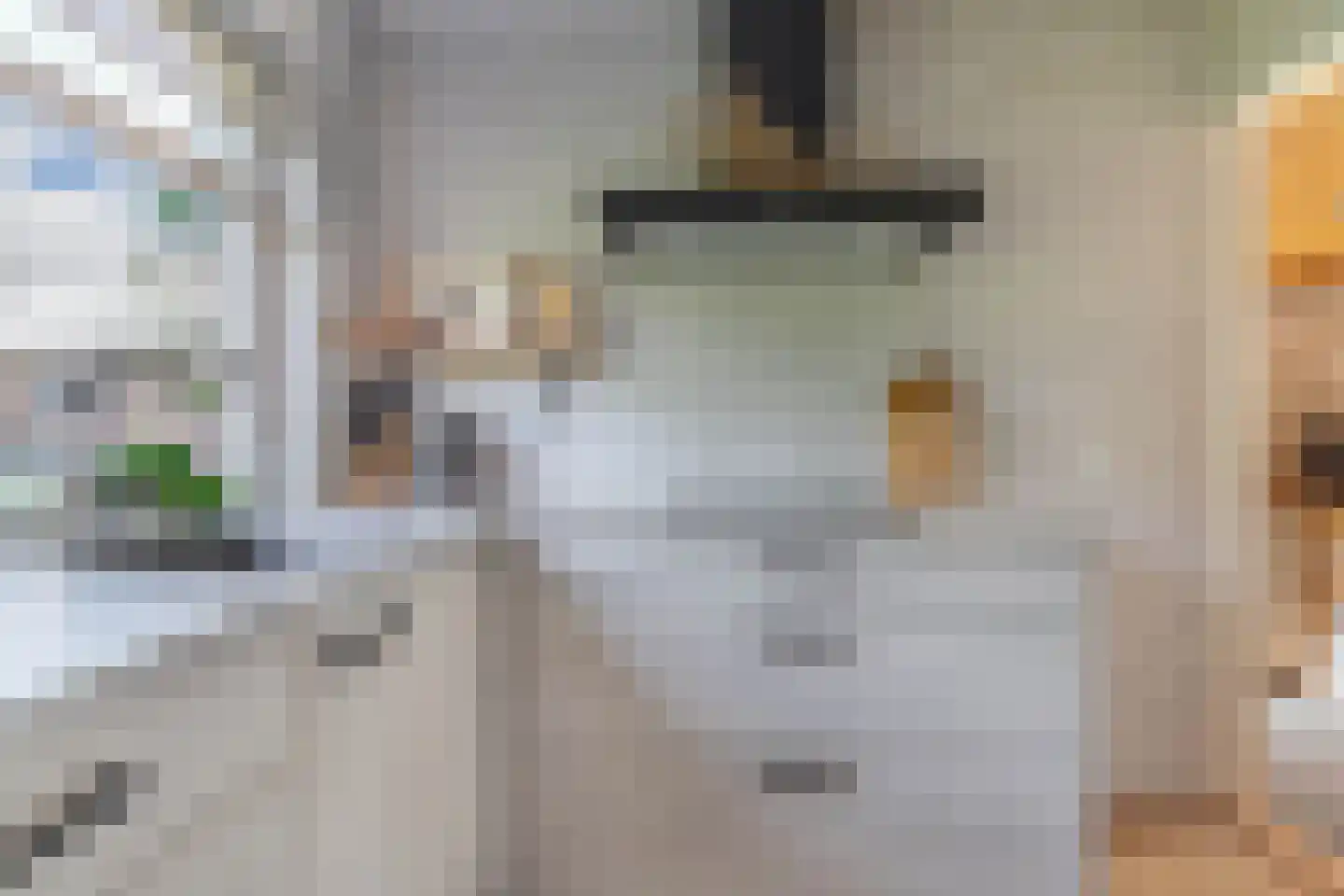 Bosplantsoen 40 Zevenhuizen thumbnail 18