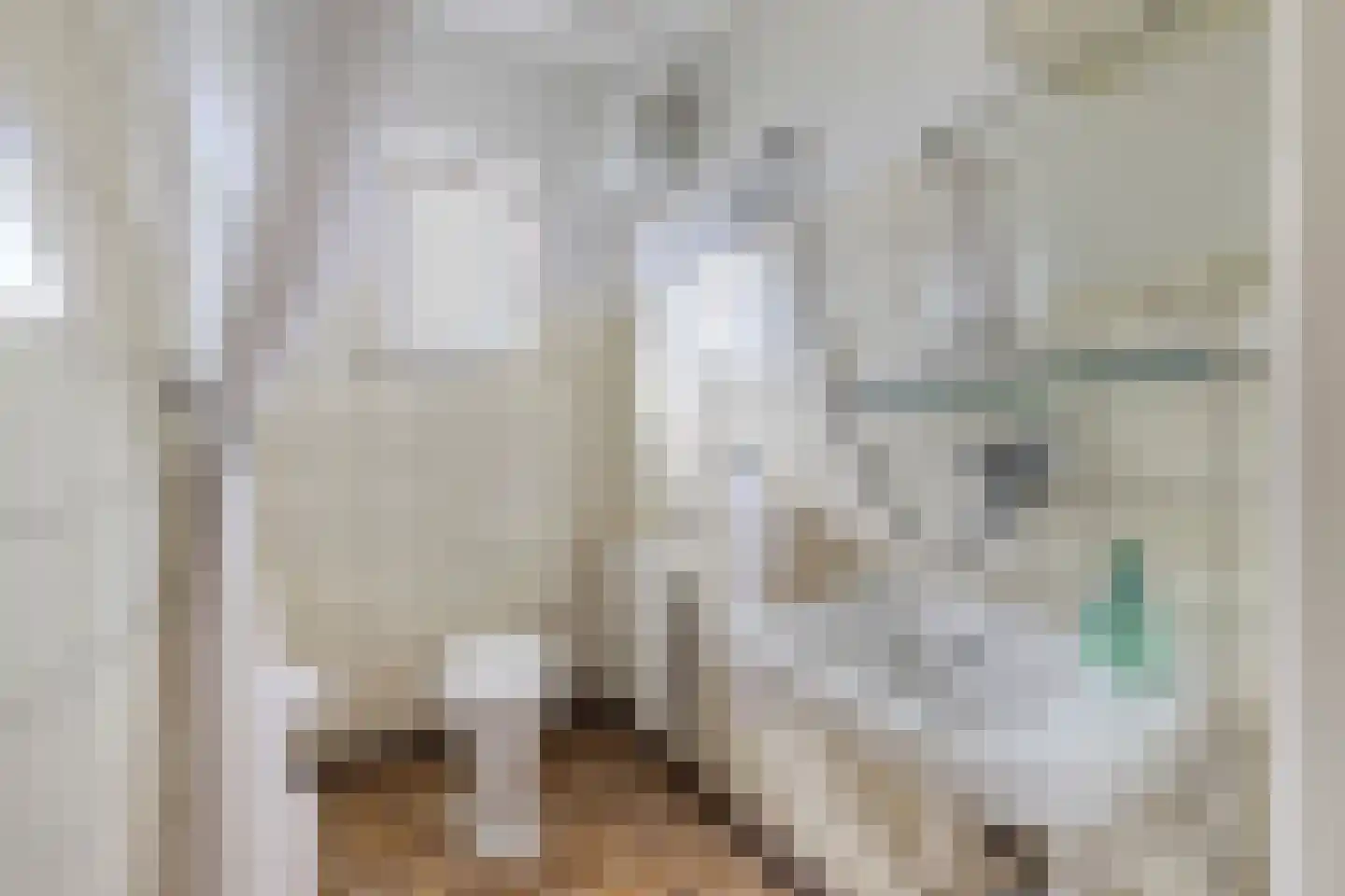 Bosplantsoen 40 Zevenhuizen thumbnail 23