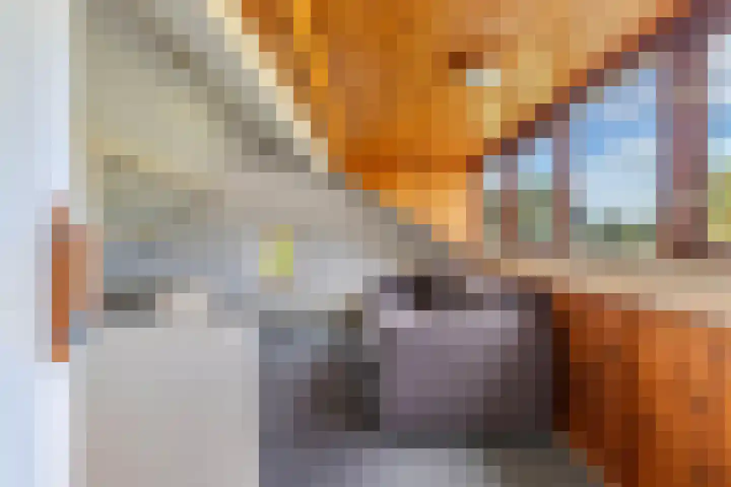 Bosplantsoen 40 Zevenhuizen thumbnail 24